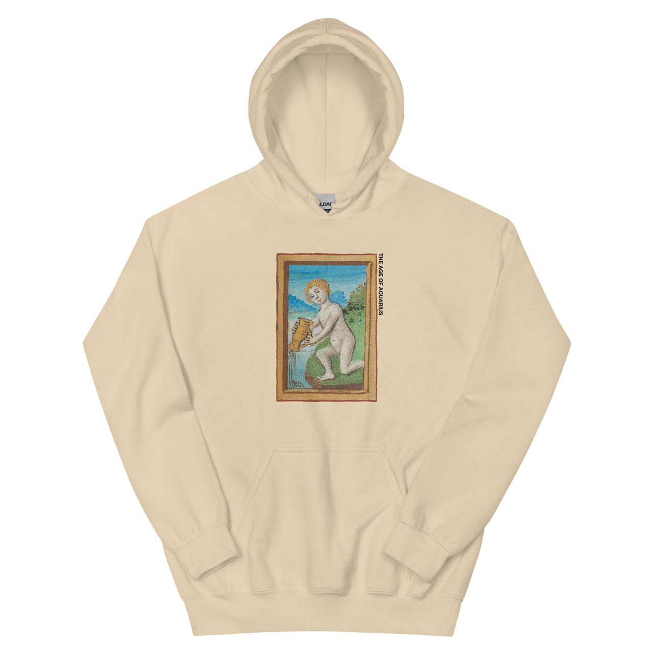 The Age of Aquarius 2 Hoodie